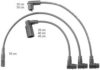 BERU ZEF732 Ignition Cable Kit